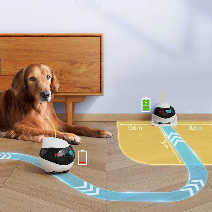 モバイルアプリ制御とカメラ付きワイヤレススマート、簡単リモー - Kids Education Mobile App のレビューと価格