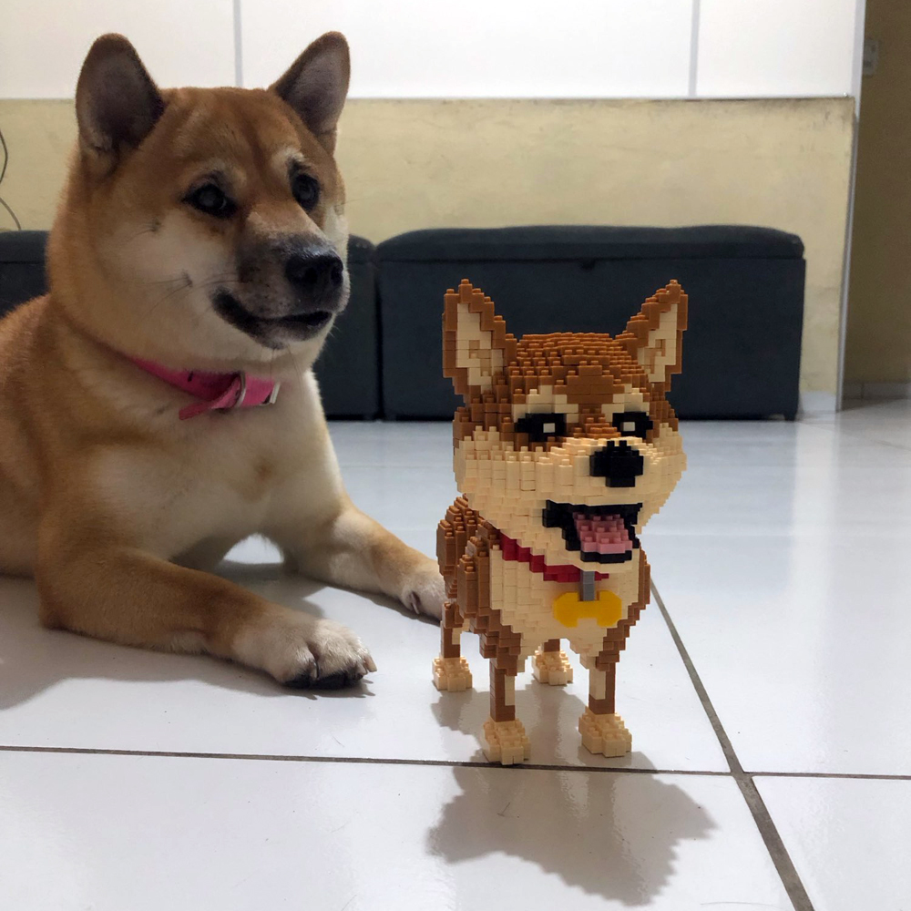 KNEW BUILT 柴犬犬モデル マイクロミニビルディング - Kids Education And Recreation のレビューと価格